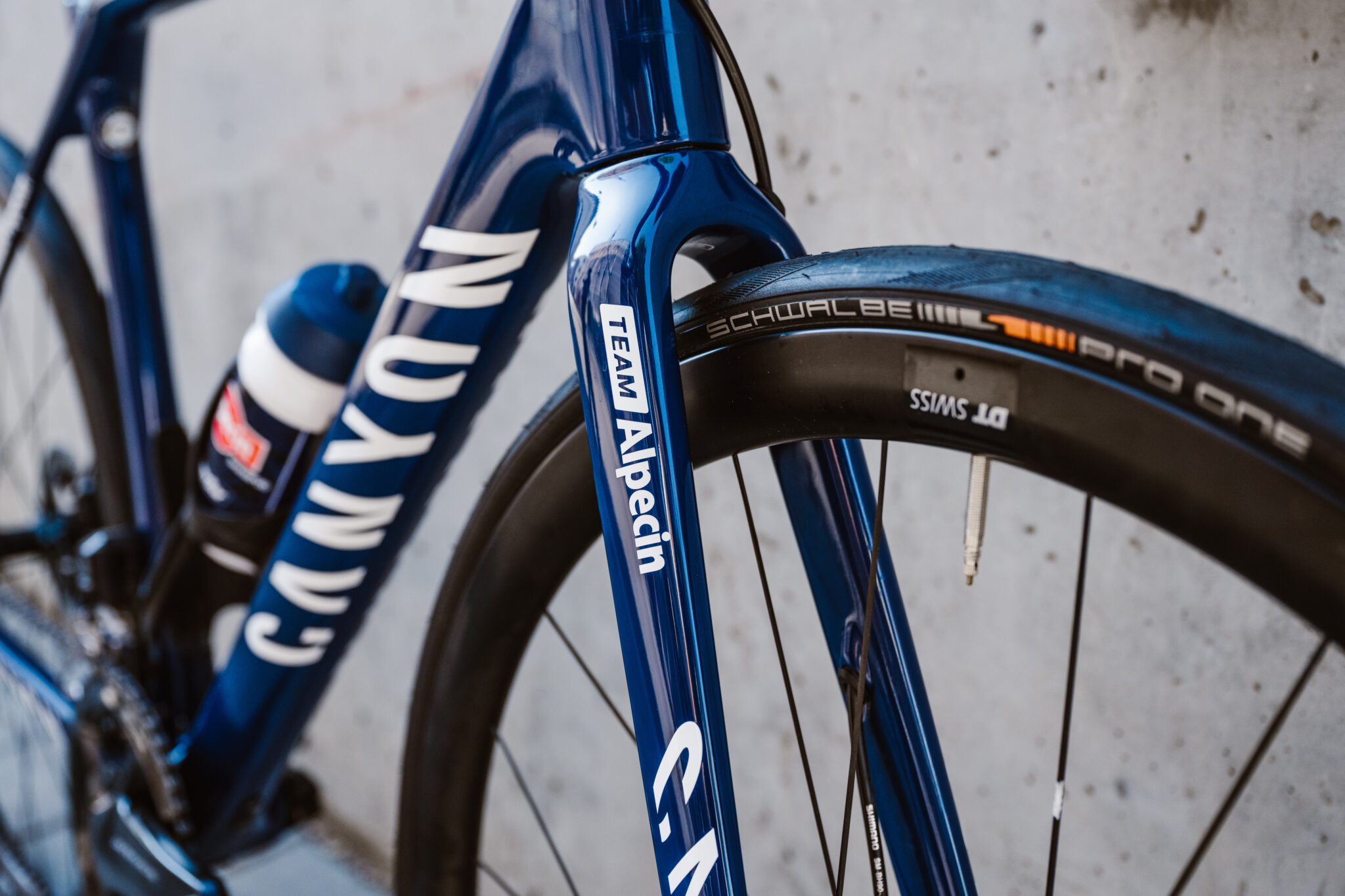 Team-Rad der Jedermänner 2020: Canyon Endurace CF SLX